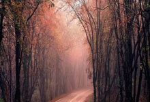 包含北京阜外醫院、掛號掛號微信_我來告訴你就醫指南的詞條