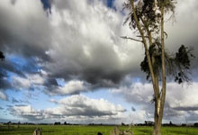 北京宣武醫院、朝陽區號販子聯系電話——靠譜的代掛號販子的簡單介紹