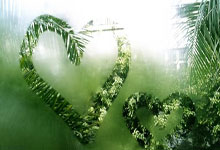 空軍總醫院"普通掛號黃牛號多少錢"的簡單介紹