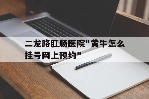 二龍路肛腸醫院"黃牛怎么掛號網上預約"的簡單介紹
